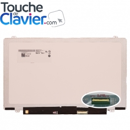 Dalle Ecran Lenovo ThinkPad T14s ePrivacy Guard